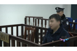 南部南部的要账公司在催收过程中的策略和技巧有哪些？