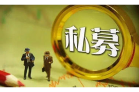 南部专业讨债公司有哪些核心服务？